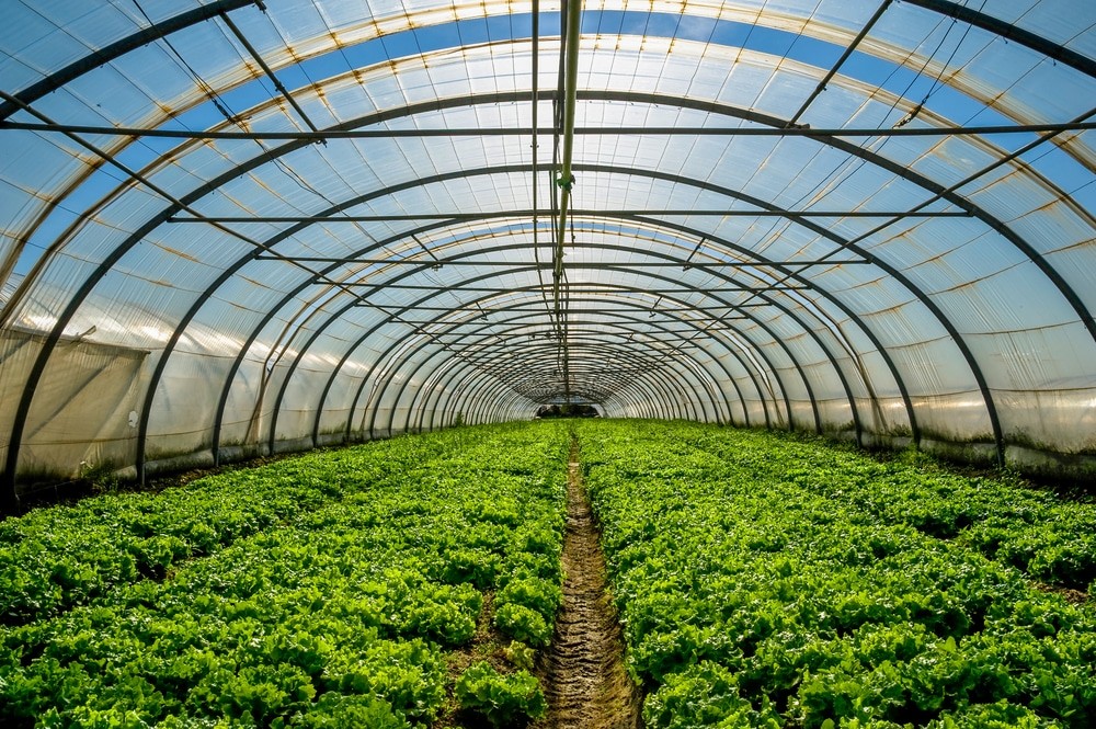 Horticulture and Floriculture Manufacturers